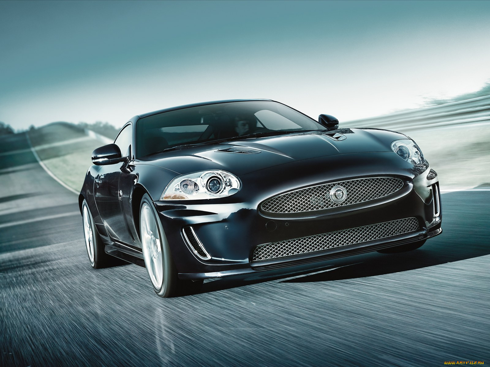 , jaguar